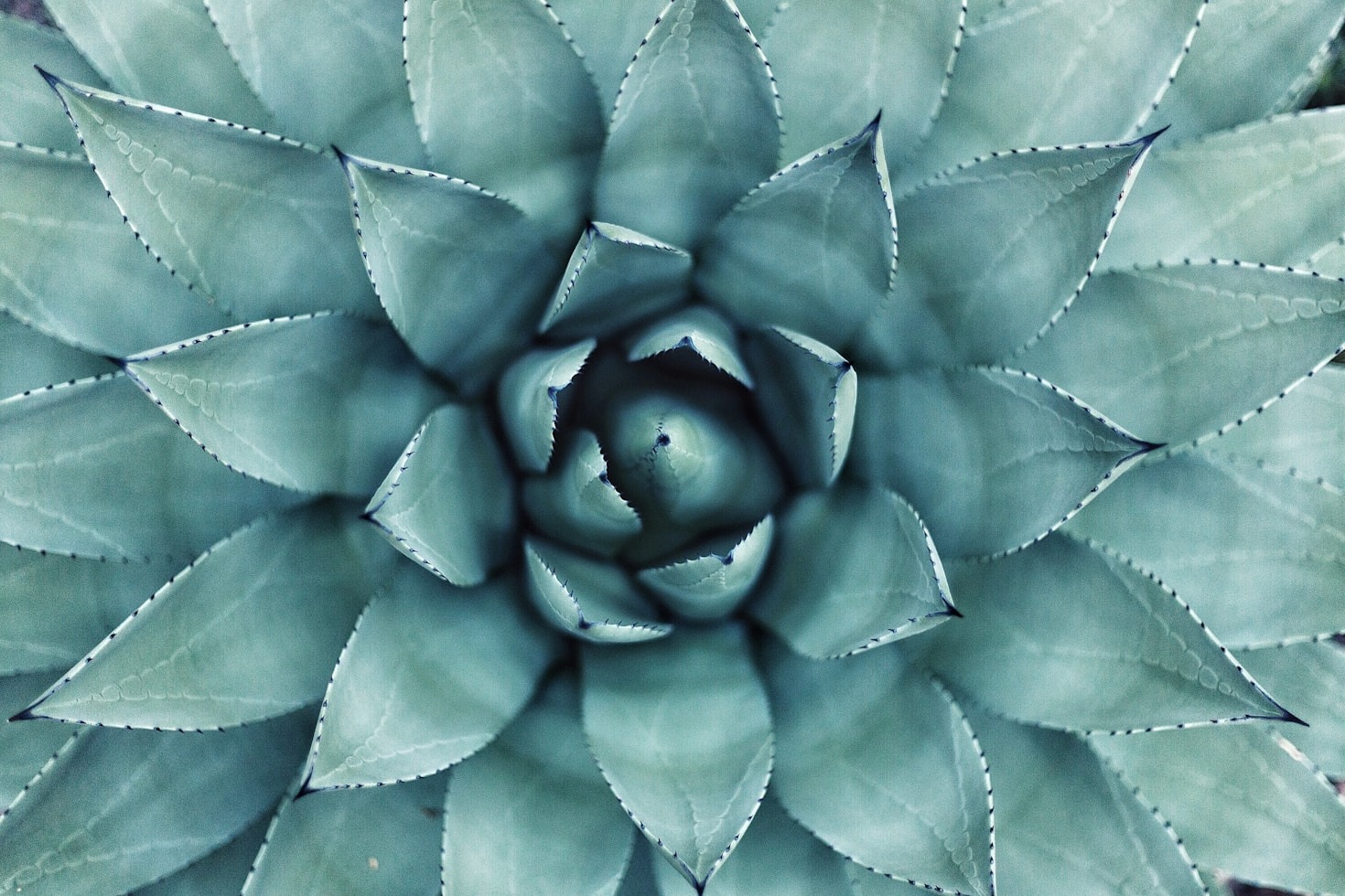 Transformações positivas: histórias inspiradoras de equilíbrio